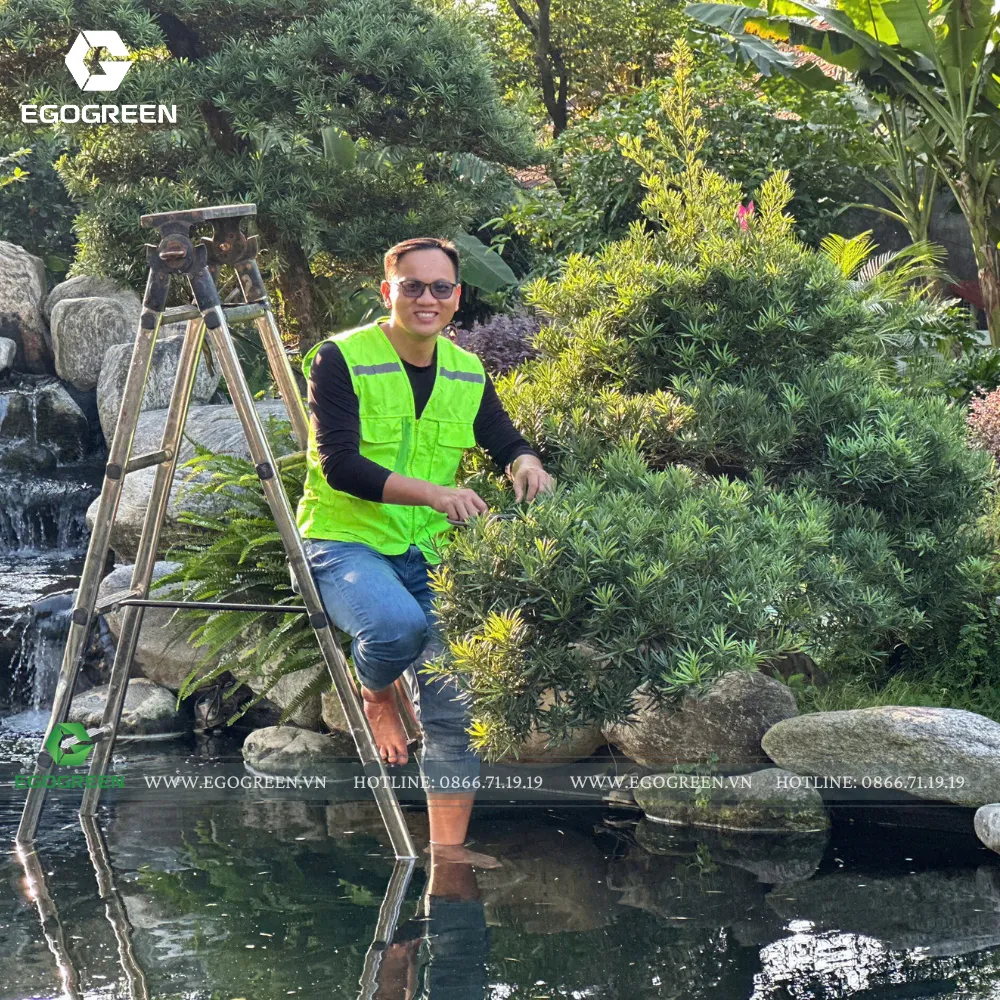 EGOGREEN chuyên thiết kế sân vườn phong cách Nhật Bản